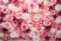 Pink Roses Background Flowers Wall Photography Background Various Floral Roses Backdrops Anniversary Birthday Wedding Baby Shower Backgrounds Decor Children Adults Video Studio Prop 15x10ft