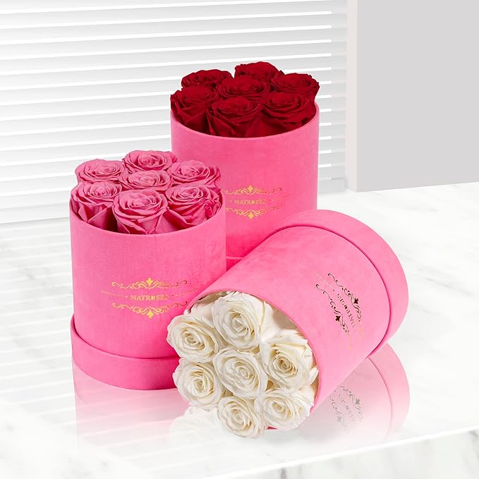 NATROSES 7 Piece Preserved Roses in a Box, Preserved Flowers for Birthday, Flower Gifts for Mothers Day (Pink)