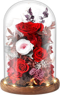 Eternal Rose Rose Red Flower Preserved Long Lasting Stable Color Natural Material Symbol of Everlasting Love for Wife Mothers Select Anniversary Rose Gift Birthday Present Christmas