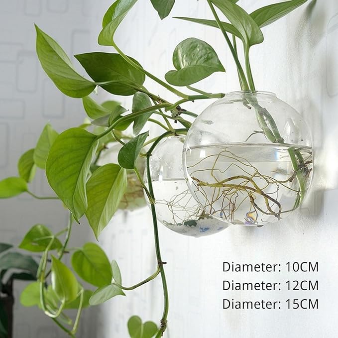 Wall-Mounted Acrylic Planter for Hydroponic Plants – Mantou Vase Large, Modern Transparent Design for Home & Office Decoration
