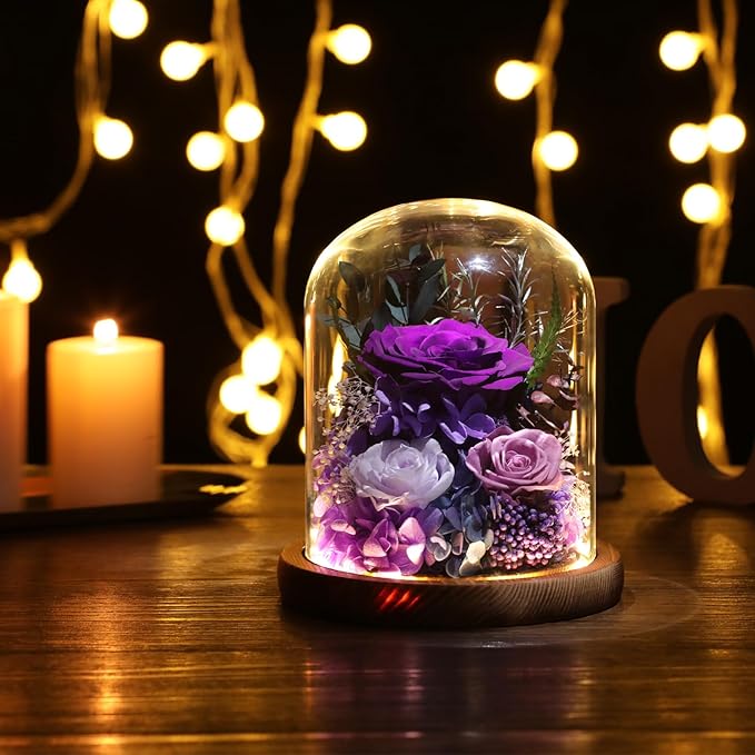 Flowers for Delivery Preserved Rose Gifts for Women,Long-Lasting Real Flowers in Glass Dome, Birthday Gifts for Women Mom Friend(Purple Rose)