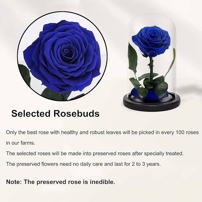 NATROSES Handmade Preserved Roses in Glass Dome, Blue Roses, Preserved Flowers Gifts for Women, Mothers Day Flowers