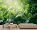 Dewdrops Green Leaf Wall Mural, Botanical Forest Sunlight 3D Wall Murals, Refreshing Nature Wallpaper Mural, for Living Room Bedroom Large Wallpaper Indoor Decor 169.3" W x118.2 H