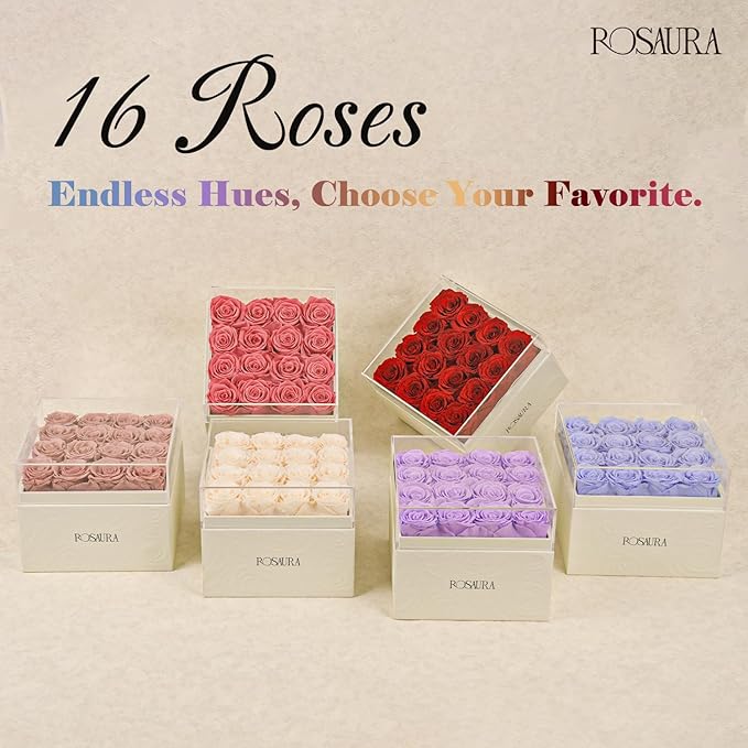 Rosaura Square Preserved Roses Gift Box - Real Forever Flowers in Clear Acrylic Lid, Valentine's for Women (Champagne, 16 Roses)