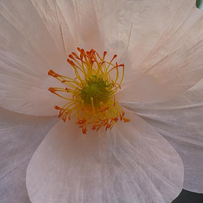 Large Paper Artificial Flowers,Giant Flowers for Decoration,Huge Handcrafted Poppy Fake Flowers with Stand for Home Decor Bridal Shower Party Outdoors Yard Event Backdrop Decor (Champagne)