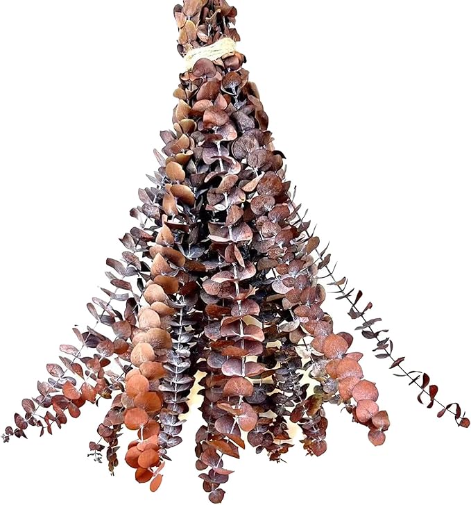 (20Pcs) Dried Eucalyptus Stems - Red, Fall Decorations for Home, Real Long Eucalyptus, Dried Flowers for Vase, 17" Floral Arrangement, Wedding (Orange)