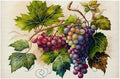 Fruit Grapes Purple Abstract Placemats Set of 1 PVC Vinyl Non Slip Table Mats Waterproof Heat Resistant Place Mats Washable Wipeable Dining Table Mat for Kitchen Party Indoor Outdoor Decorative