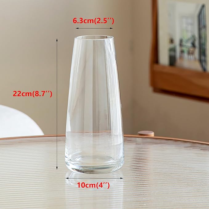 FANTESTICRYAN Modern Glass Vase Irised Crystal Clear Glass Vase for Home Office Decor (Crystal Clear)