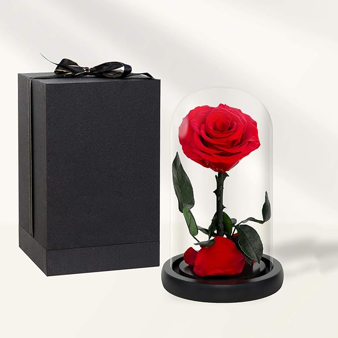 NATROSES Handmade Preserved Roses in Glass Dome, Red Roses, Preserved Flowers Gifts for Women, Mothers Day Flowers