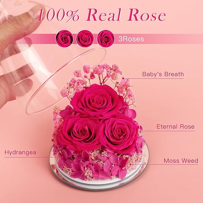 Preserved Flower Rose Gifts for Women, Forever Eternal Fresh Flowers in Glass Angel Figurines Flowers for Delivery Prime for Grandma Mom from Daughter Sister Her Wife on Mothers Day Birthday Christmas