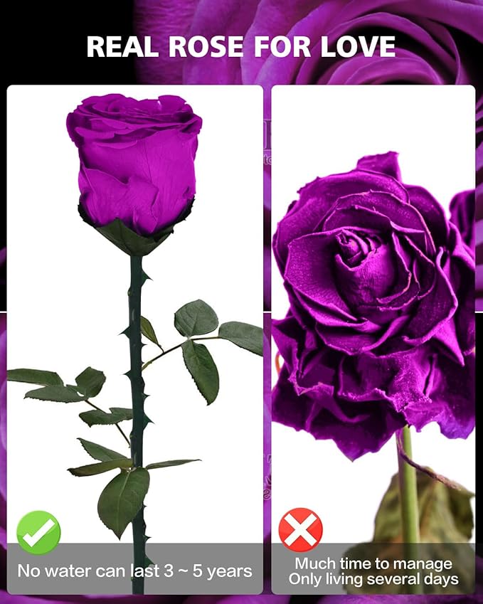 Forever Flowers Gifts for Women: Purple Roses Birthday Rose Christmas Anniversary for Mom Girlfriend Wife Grandma
