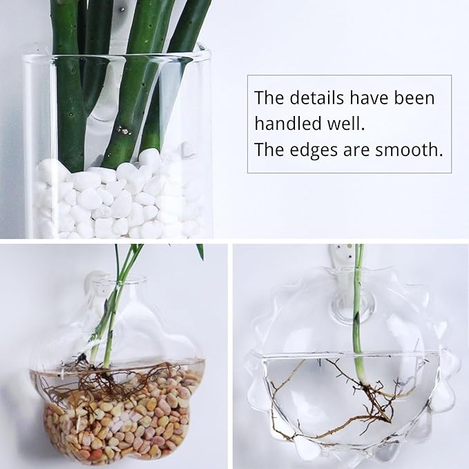 Wall-Mounted Acrylic Planter for Hydroponic Plants – Round Disc Vase Large, Modern Transparent Design for Home & Office Decoration