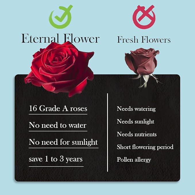 16 Preserved Roses in Heart-Shaped Box, Flowers for Delivery Prime Last up 2 Years, Real Forever Flowers for Wife, Girlfriend, Mother, Eternal Roses for Anniversary - Blue