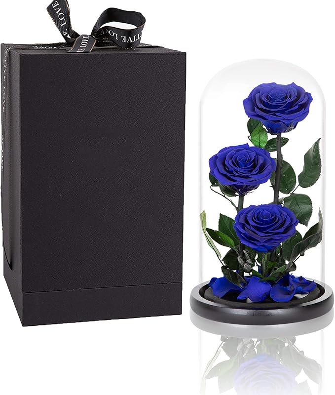 Preserved Roses Handmade Preserved Flowers in Glass Dome, Blue Rose Never Withered, Birthday Gifts for Women (13 inch)
