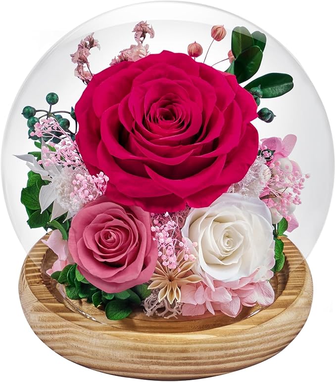 Preserved Roses Forever Flowers in Glass - Birthday Gifts for Women Mom, Real Flowers for Delivery Prime | Rose Gift for Grandma Wife Sister Friend (Mix Fuchsia)