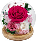 Preserved Roses Forever Flowers in Glass - Birthday Gifts for Women Mom, Real Flowers for Delivery Prime | Rose Gift for Grandma Wife Sister Friend (Mix Fuchsia)
