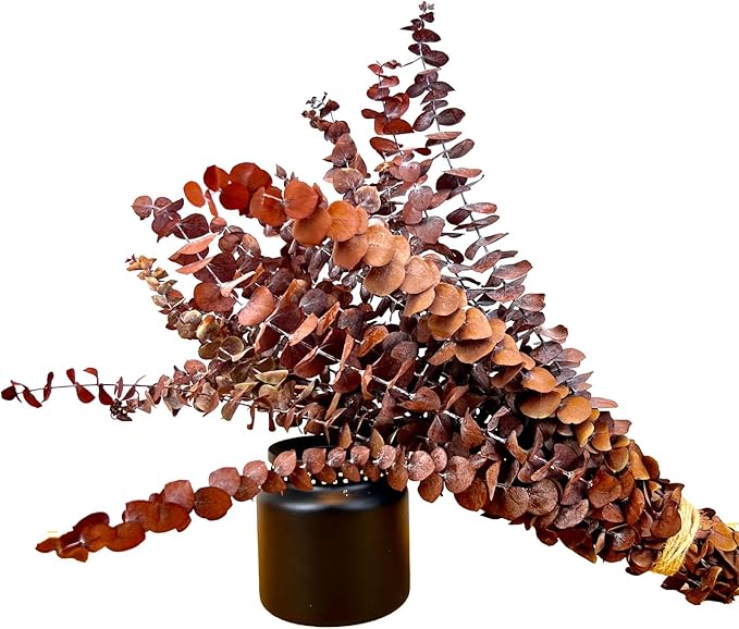 (20Pcs) Dried Eucalyptus Stems - Red, Fall Decorations for Home, Real Long Eucalyptus, Dried Flowers for Vase, 17" Floral Arrangement, Wedding (Orange)