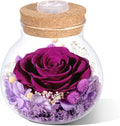 Christmas Birthday Gifts for Women Mom Preserved Purple Rose Eternal Forever Flower in Glass Wishing Bottle with LED Light Flowers for Delivery Prime for Grandma Wife Sister Friend from Daughter