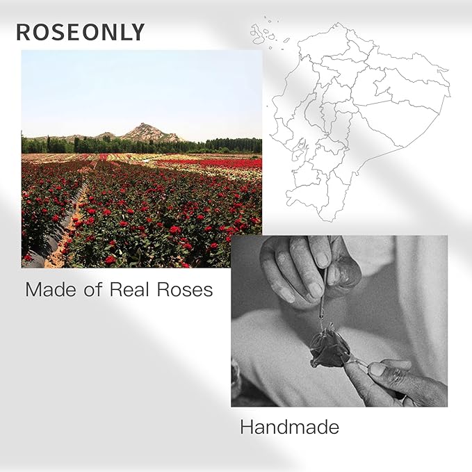 roseonly. Preserved Rose with Sweet Bunny, Eternal Flowers Gifts for Women Girlfriend Wife Mothers Real Roses for Valentine's Day Christmas Birthday Mother's Day Anniversary (Standard)