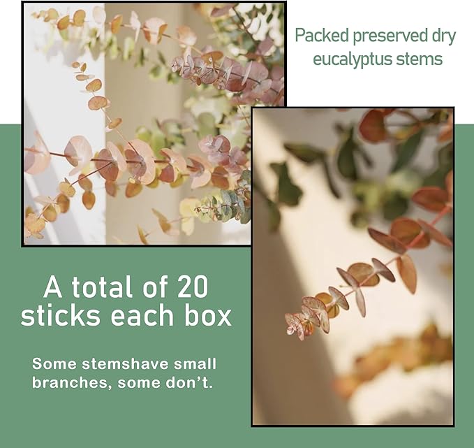 (20Pcs) Dried Eucalyptus Stems - Red, Fall Decorations for Home, Real Long Eucalyptus, Dried Flowers for Vase, 17" Floral Arrangement, Wedding (Orange)