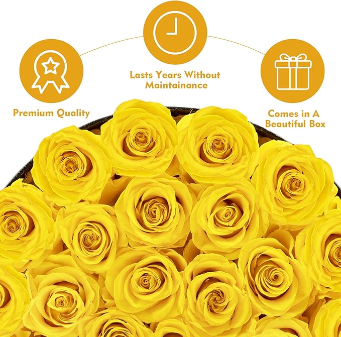 Forever Flowers 27 Roses in A Box, Real Preserved Roses, Birthday Gift for Women, Mother's Day, Anniversary Day - Yellow Rose