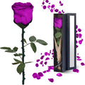 Forever Flowers Gifts for Women: Purple Roses Birthday Rose Christmas Anniversary for Mom Girlfriend Wife Grandma