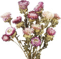 13 Pcs Dried Daisy Flower Bouquet Natural Dried Gerber Daisies Flowers Bundles Real Dried Flowers Mums Chrysanthemum Floral Arrangements for Wedding Party Table Centerpiece Decor Farmhouse