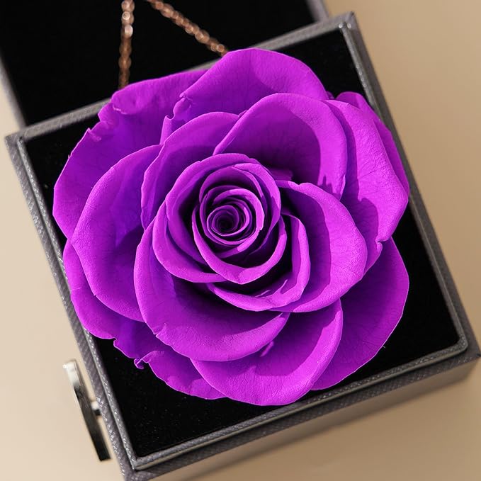 Preserved Rose Gifts for Mom Birthday – Forever Real Rose Music Box for Women – You Are My Sunshine Gifts for Mom Grandma Wife Girlfriend – Eternal Roses Box with I Love You Necklace in 100 Languages