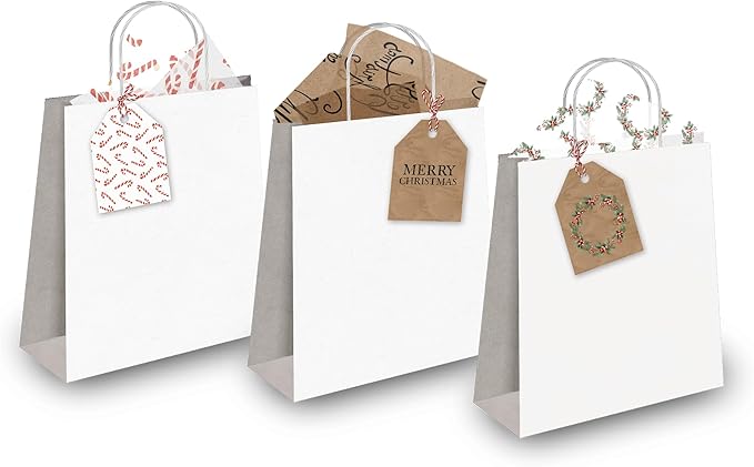 Pro Supply Global 24 Count of 2.5 Inch x 3 Inch Pre Strung Christmas Candy Canes Gift Tag Assorted Printed Designs on Large Cardstock Gift Hang Tags - Ideal to Use on Bags