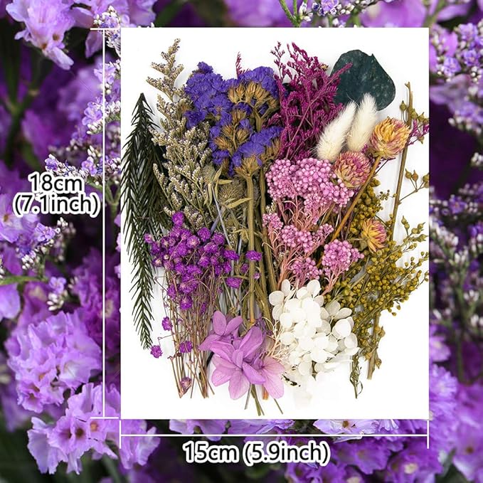 Vignee Real Dried Pressed Leaf Flowers-Multiple Colorful Pressed Flowers Daisies for Craft Resin Jewelry Making Art Craft DIY（Blue & Purple）