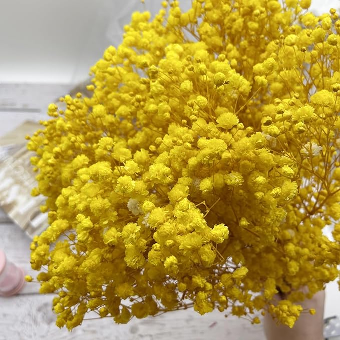 Preserved Baby's Breath, 100% Natrual Gypsophila Long Lasting Flowers for Vase Arrangements Home Decoration Photo Props Parties and Weddings, DIY Décor-Yellow