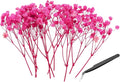 PATIKIL Mini Dried Gypsophila Flower Kit, 30Pcs 4 Inch Rose Pink Natural Pressed Floral Bundles with Tweezer for DIY Resin Crafts Gift Wedding Christmas Card Decor Flower Bouquets