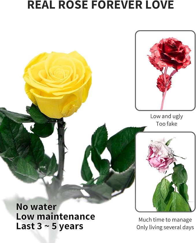Yellow Flowers for Delivery Prime, Preserved Yellow Roses Flower Gifts for Women, Real Roses Single Rose Gifts for Her, Mom Birthday Gifts from Daughter,, Valentines Flowers