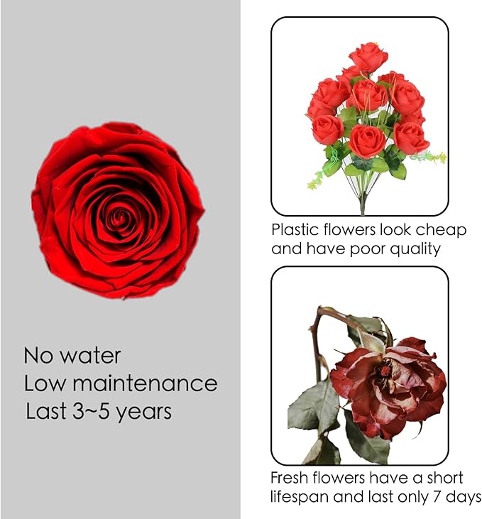 Forever Flower, Preserved Rose Birthday Gifts for Women, Her, Wife, Mom, Prime Eternal Roses Gifts for Mothers Day, Valentines Day, Anniversary, Graduation, Wedding, Single Rose Real Rose (Red)
