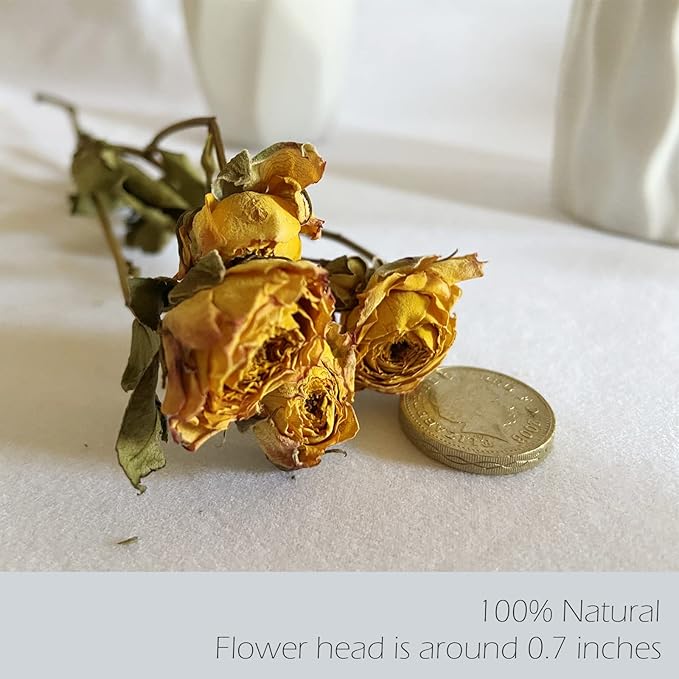 L'BREVOGA Dried Flower Spray Rose Bouquets, 2 Bunches 100% Natural Flowers, Miniature Roses with Baby’s Breath for Decoration Home Party (Spray Rose)