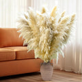 20 Stems Natural Pampas Grass Decor 40" Tall Dreid Pampas Grass for Wedding, Party, Farmhouse, Fluffy Dreid Flowers Boho Home Decor Beige & White