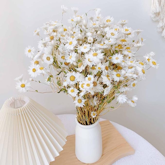 Dried Daisy Flowers Bouquet, 250+ Dry White Flowers, Artificial Sunflowers, 17'' Natural Gerber Daisies Arrangements for Farmhouse Vase Decor, Wedding, DIY Home Office Party Decoration