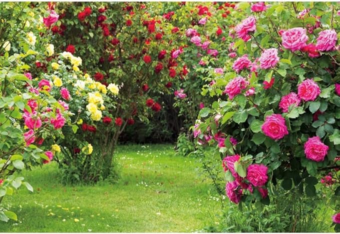 Renaiss 6x4ft Spring Garden Backdrop Red Pink Rose Flower Park Floral Green Leaf Grass Natural Landscape Photography Background for Wedding Bridal Shower Party Decor Photo Booth Props