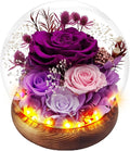 Preserved Rose Forever Flowers in Glass Dome Gifts for Women, Long-Lasting Real Flowers，Red Eternal Rose Birthday Gifts for Mom Valentines Day Anniversary for Wife Girlfriend