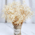 2500+ Dried Babys Breath Flowers Bulk - 17" Ivory White Dried Flower Bouquet, Real Natural Gypsophila Branches for Vase Filler, Wedding, Table Centerpiece, Home Decor, DIY Wreath Floral, Crafts