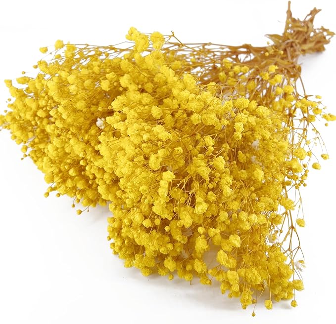 Preserved Baby's Breath, 100% Natrual Gypsophila Long Lasting Flowers for Vase Arrangements Home Decoration Photo Props Parties and Weddings, DIY Décor-Yellow