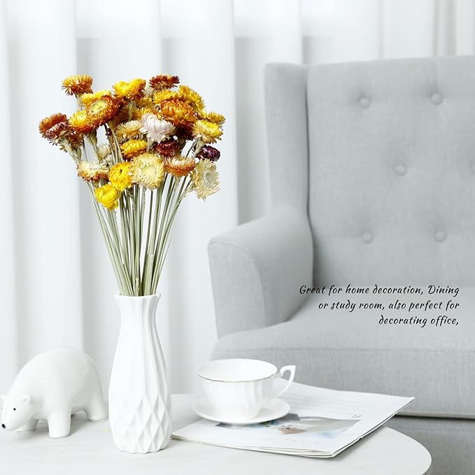 Dried Flower 40PCS Daisy Bouquet 100% Natural Chrysanthemum Dry Flower for Vase Home décor Party DIY Arrangement Wheat Straw Bulk （Multi-Color）