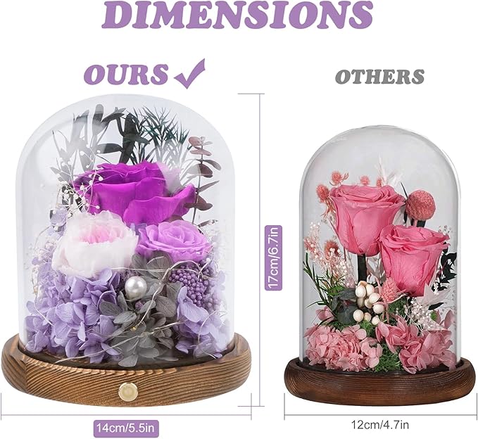 Large Preserved Flowers with Card&Box-Flowers for Delivery Prime,Eternal Rose with Lights,Roses in Glass Dome,Romantic Gift for Her,Decoration,Fresh Rose Flowers for Mom,Birthday,Anniversary (Purple)