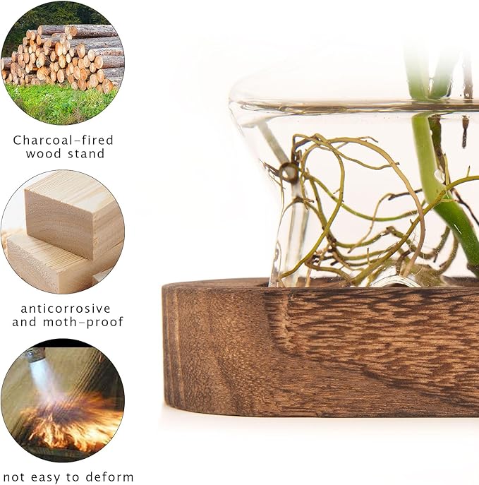 XXXFLOWER Plant Propagation Station with Wooden Stand，Air Plant Terrarium Starter Kits Star Vases for Flowers Plant Cutting Rooting Pots Indoor Hydroponic Glass Planter for Plant Lovers,3 Jars