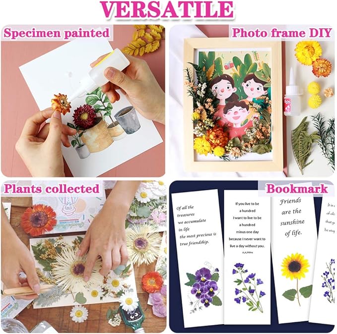 Vignee Real Dried Pressed Leaf Flowers-Multiple Colorful Pressed Flowers Daisies for Craft Resin Jewelry Making Art Craft DIY（Violet&Light Pink）