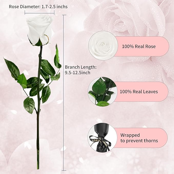 White Single Forever Roses in a Box,Preserved Flowers for Delivery,Preserved Rose Gifts for Women, Real Roses Gift for Her, Mom Birthday Gifts, Mothers Day Flowers,Valentines Flowers