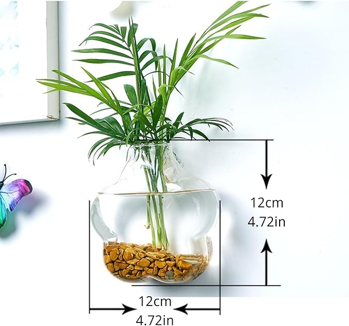 Wall-Mounted Acrylic Planter for Hydroponic Plants – Plum Blossom Vase, Modern Transparent Design for Home & Office Decoration