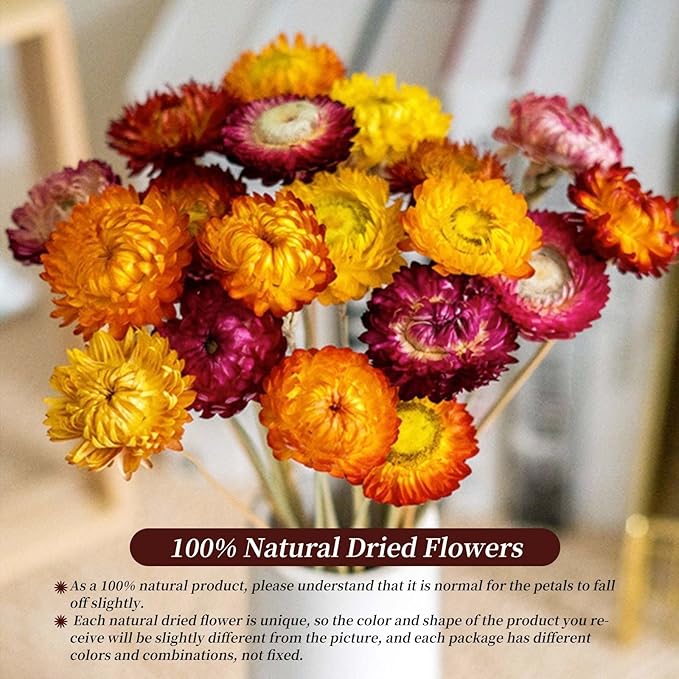 Dried Flowers Natural Daisy Mums Flower - 20 Stems Multicolor Daisies Artificial Sunflowers, Dry Fall Orange Flowers Bouquets for Vase, Wedding Home Farmhouse Decor, DIY Table Centerpiece Decoration
