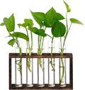 XXXFLOWER Plant Terrarium Wooden Stand with 5 Test Tubes,Glass Planters for Indoor Plants,Plant Lover Gifts for Women Garden Office Decoration