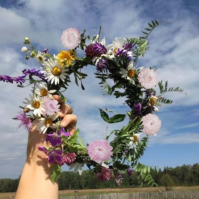 60 Pcs Natural Dried Daisy Flowers Heads Bulk Gerbera Daisies Pink Real Sunflowers Chrysanthemum Dry Flower Arrangements for Wedding Decor Home Party Decoration Headband DIY Craft